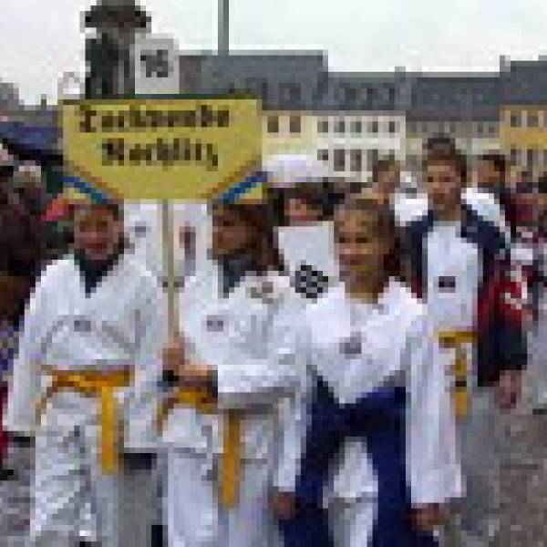 2003 :: Festumzug in Rochlitz