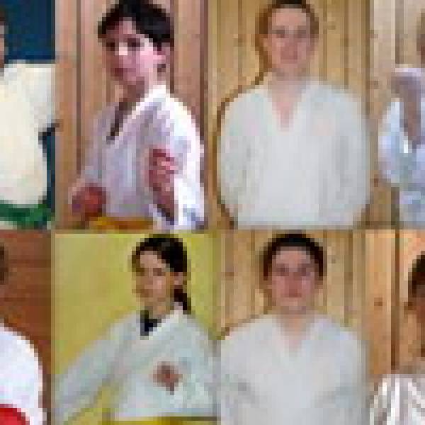 30.05.2012 :: Vorführung der Rochlitzer Karatesportler